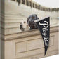 Play Ball Gallery Wrapped Canvas - Wild Wings