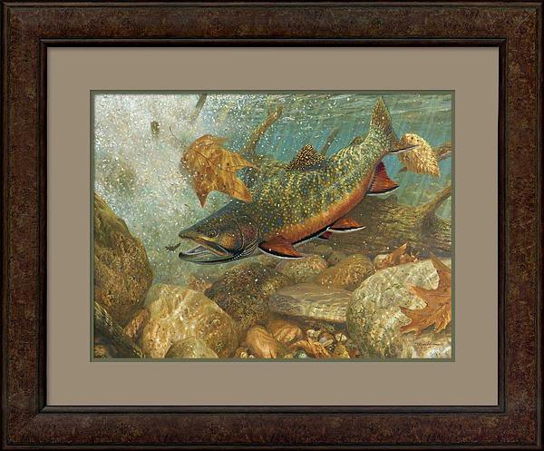 Plunge Pool Revistited—Brook Trout Art Collection - Wild Wings