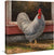 Plymouth Rock—Barred Gallery Wrapped Canvas - Wild Wings