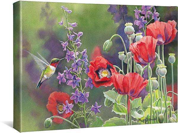 Poppies—Hummingbirds Gallery Wrapped Canvas - Wild Wings
