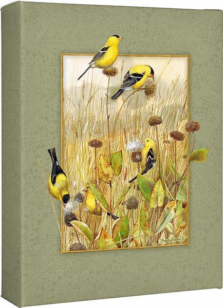 Prairie Canaries - Goldfinches Gallery Wrapped Canvas - Wild Wings