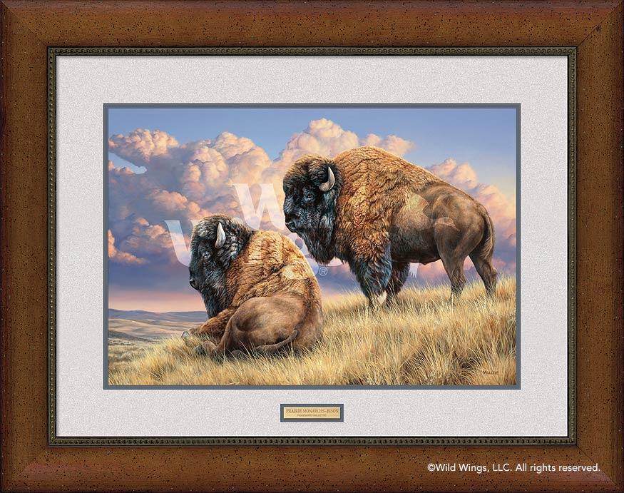 Prairie Monarchs—Bison Art Collection - Wild Wings