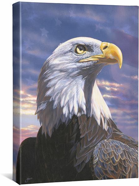 Pride—Bald Eagle Gallery Wrapped Canvas - Wild Wings