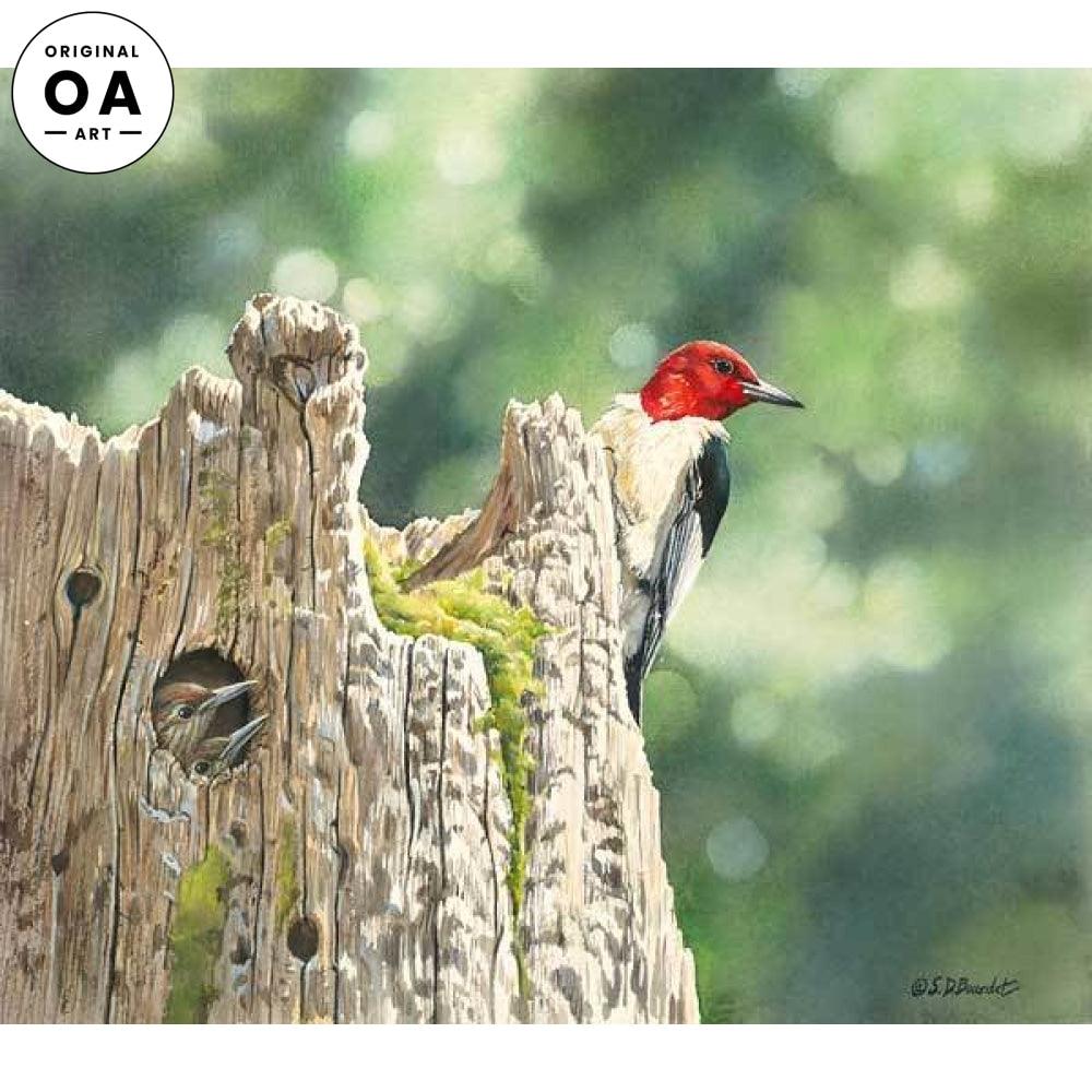 Red—headed Woodpecker Family Original Acrylic Painting - Wild Wings