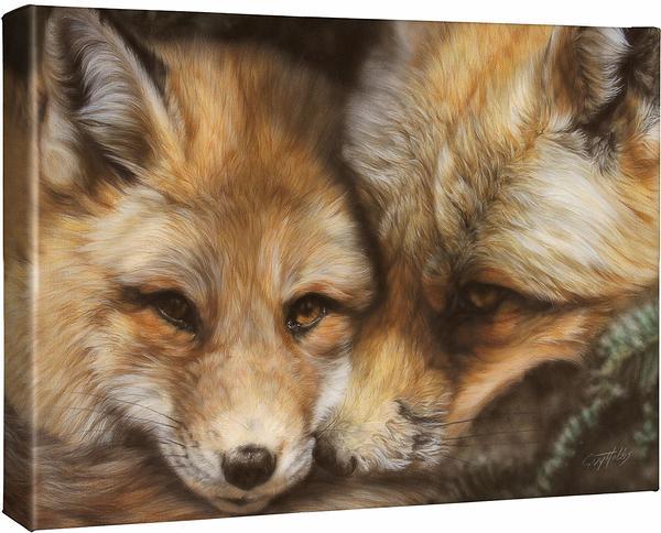 Red in the Face—Fox Gallery Wrapped Canvas - Wild Wings