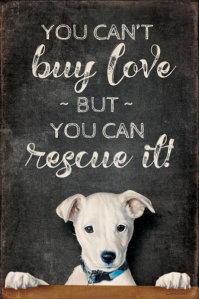 You Can't Buy Love - Dog 12" x 18" Wood Sign - Wild Wings