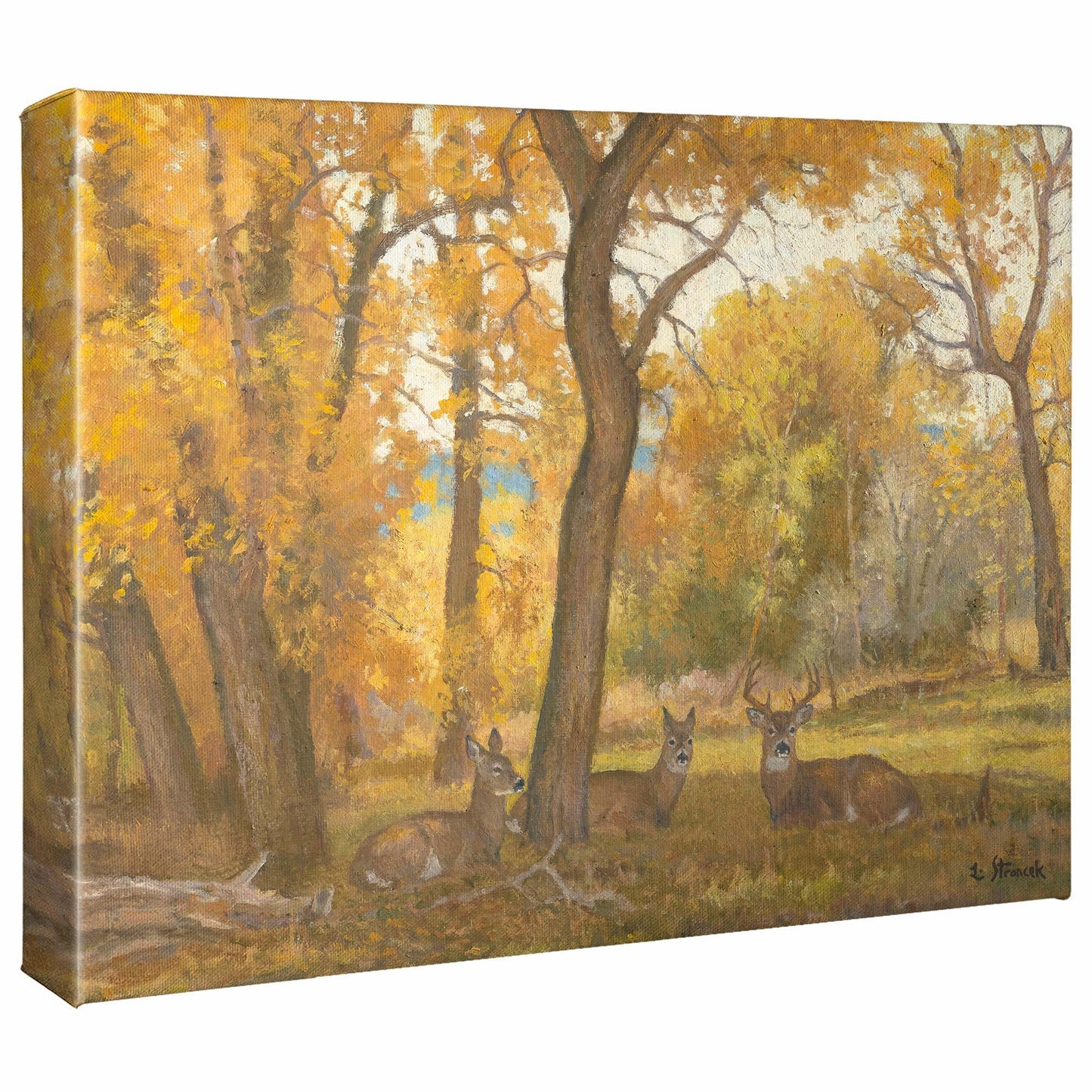 River Bottom Autumn Gallery Wrapped Canvas - Wild Wings