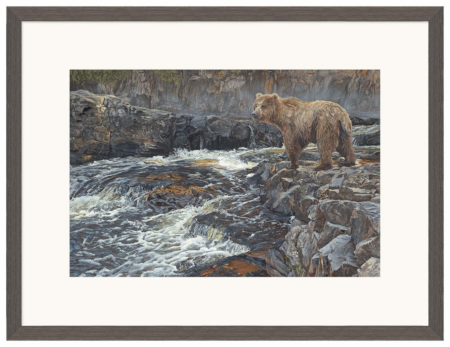 River Hunter—Grizzly Bear Limited Edition Paper Print - Wild Wings