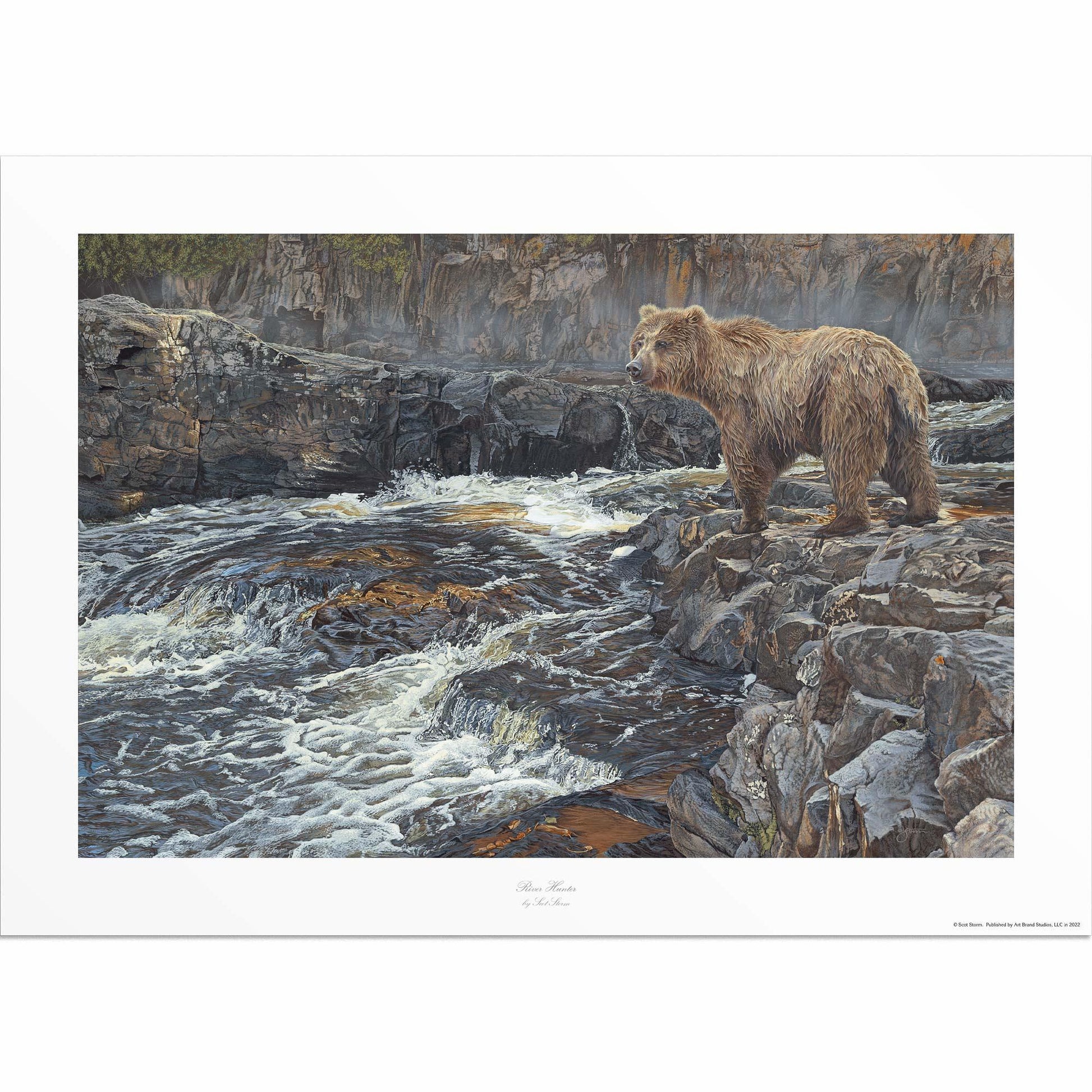 River Hunter—Grizzly Bear Limited Edition Paper Print - Wild Wings