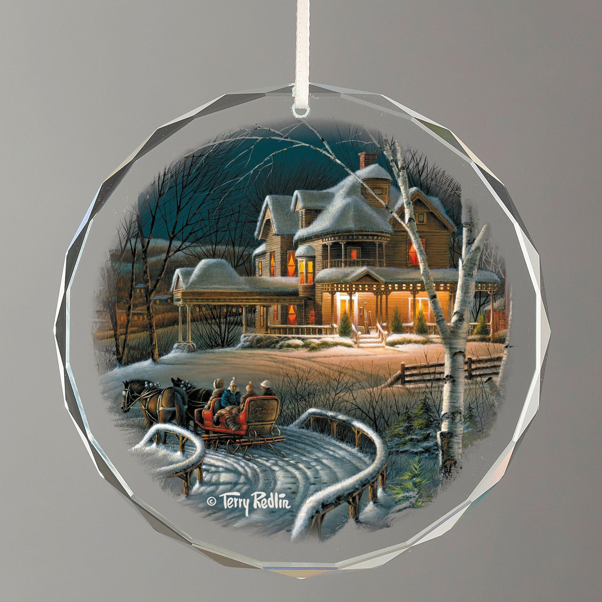 Family Traditions Round Glass Ornament - Wild Wings