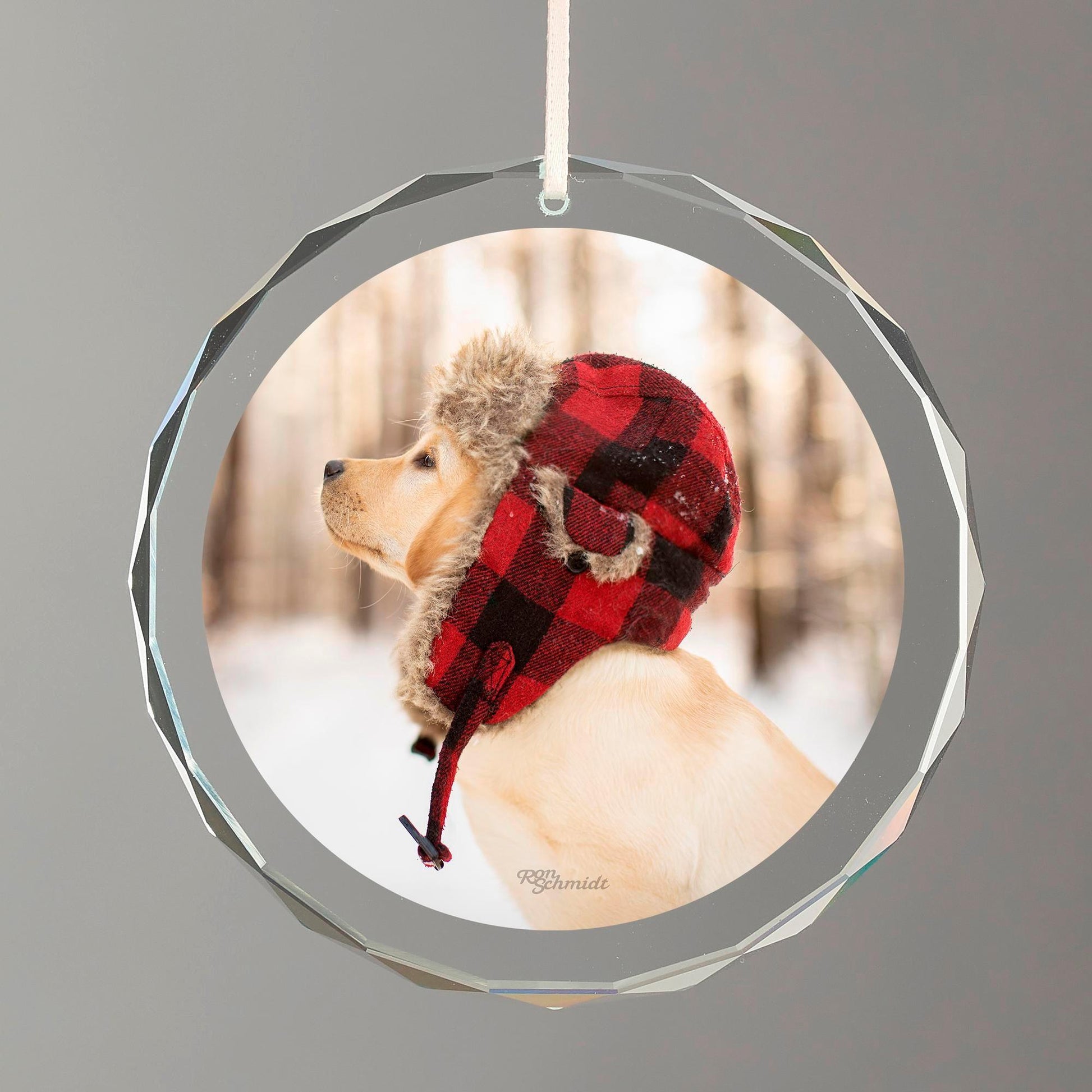 Flannel - Yellow Lab Round Glass Ornament - Wild Wings