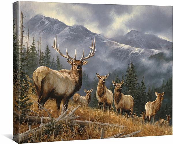 Royal Mist—Elk Gallery Wrapped Canvas - Wild Wings
