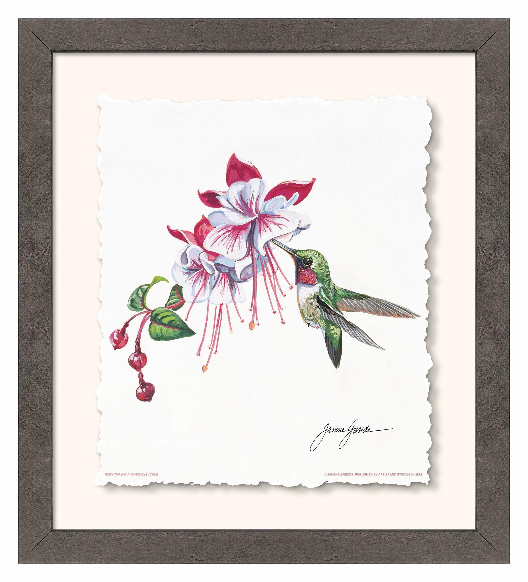 Ruby Throat & Fuschia Deckled Edge Paper Print - Wild Wings