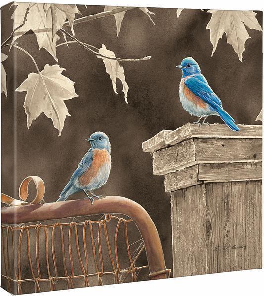 Rusty Gate—Bluebird Gallery Wrapped Canvas - Wild Wings