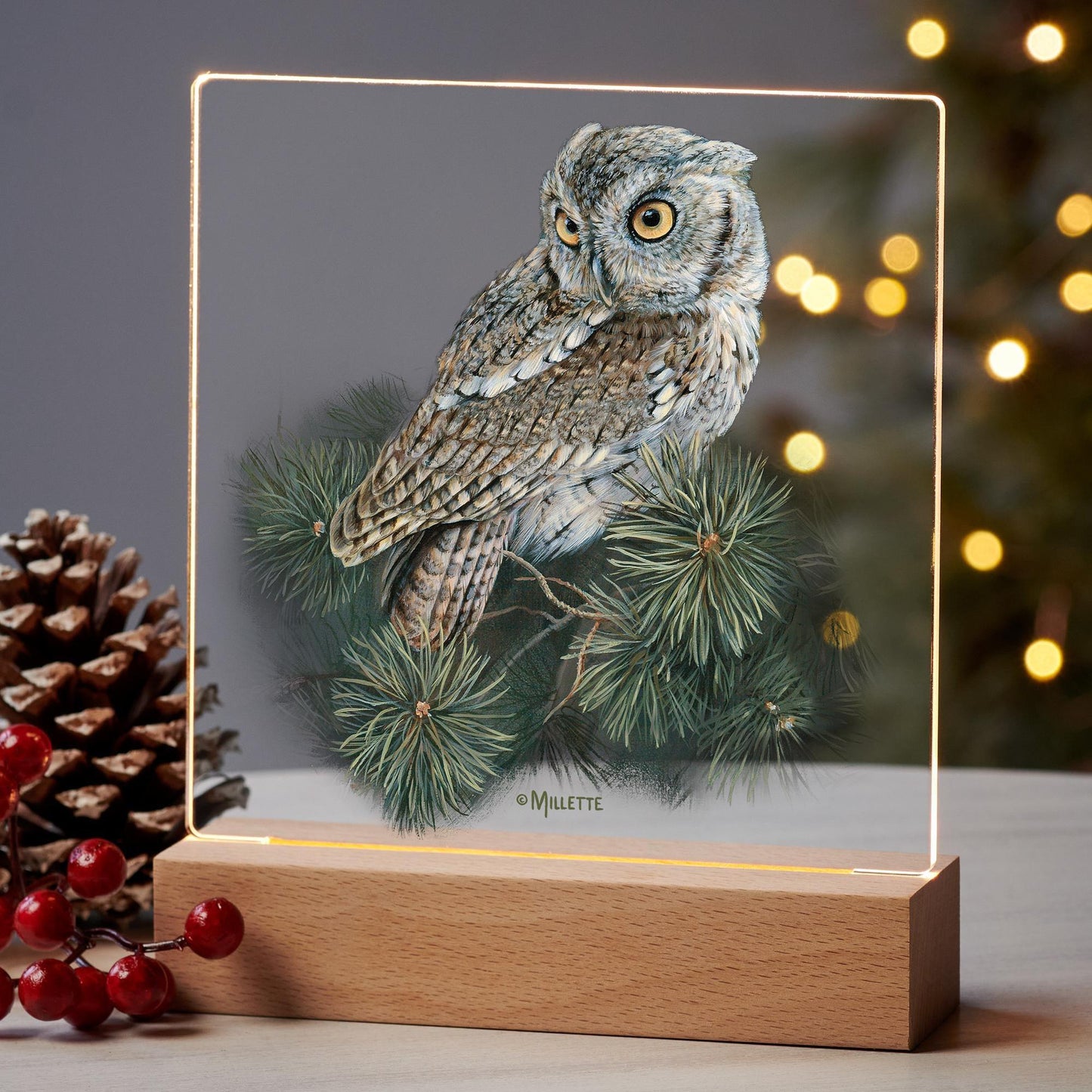 Screech Owl Acrylic Night Light - Wild Wings