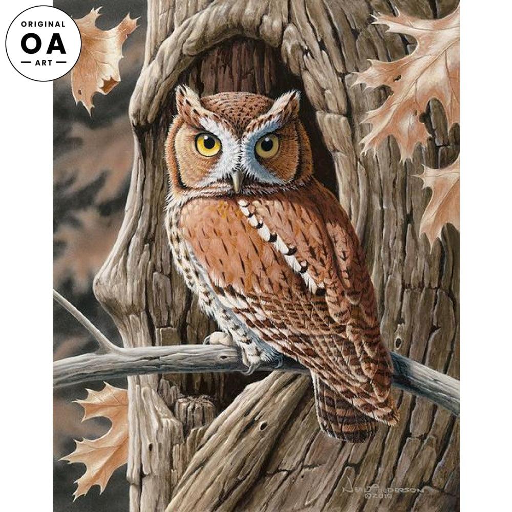 Screech Owl—Red Morph Original Gouache Painting - Wild Wings