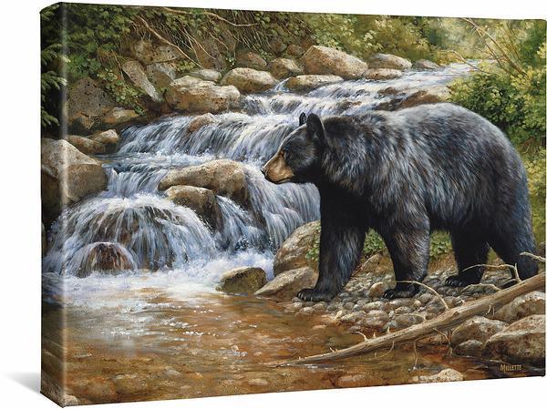 Shadow of the Forest-Black Bear – Wild Wings