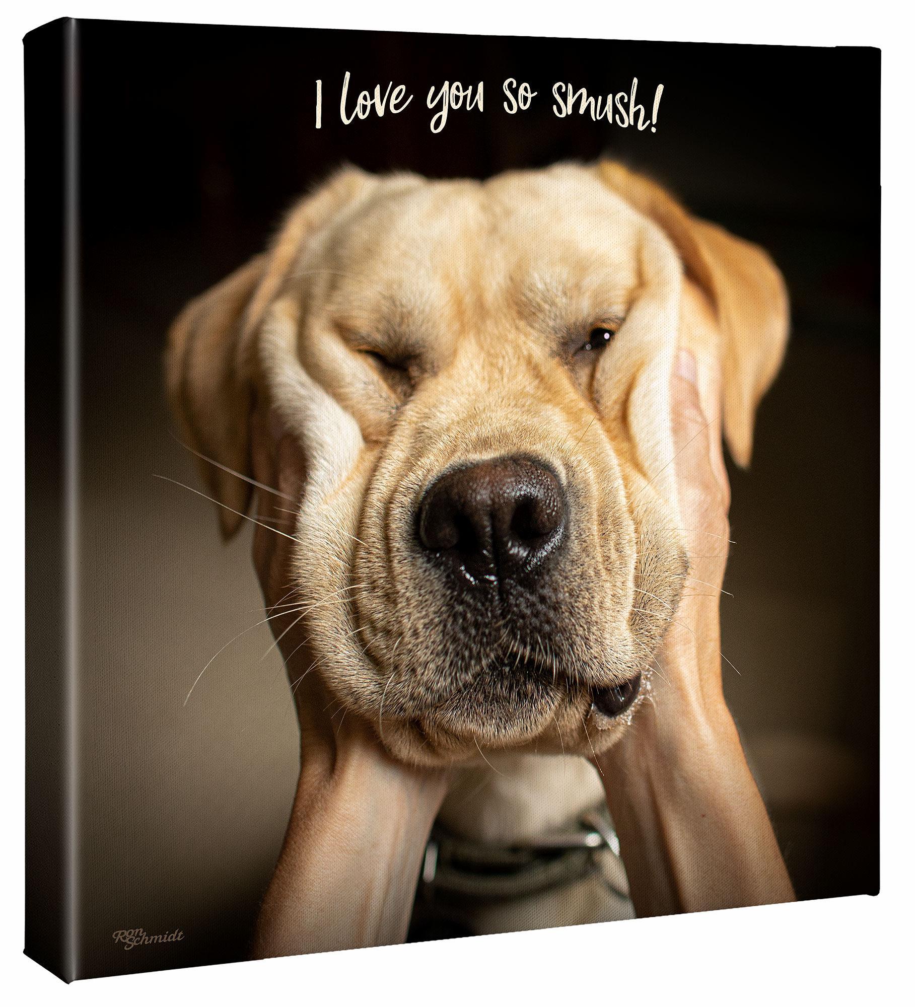 Smush-Yellow Lab Gallery Wrapped Canvas - Wild Wings