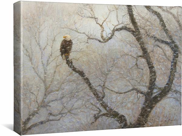 Snowstorm—Bald Eagle Gallery Wrapped Canvas - Wild Wings
