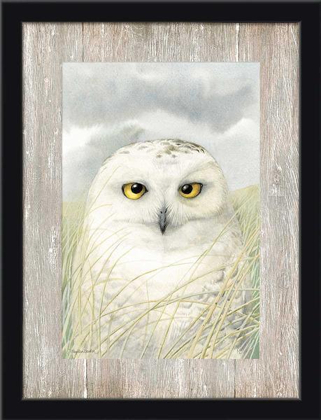Snowy Owl Wisdom Framed Print - Wild Wings