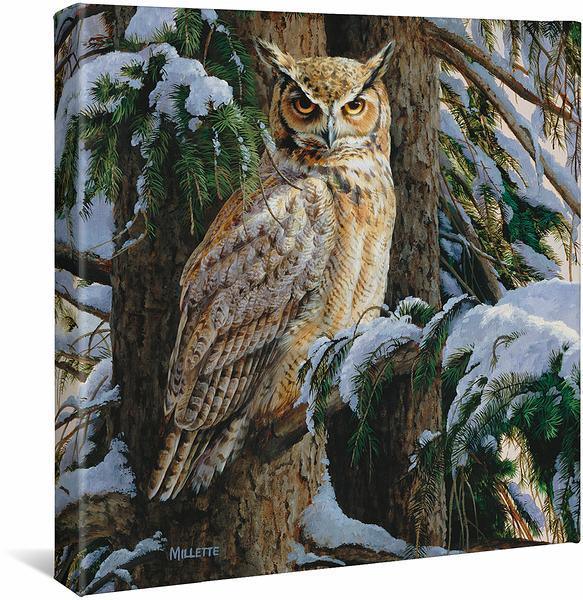 Snowy Perch—Great Horned Owl Gallery Wrapped Canvas - Wild Wings
