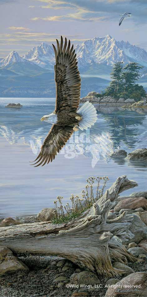 Dawn's Call—Soaring Bald Eagle Art Collection - Wild Wings