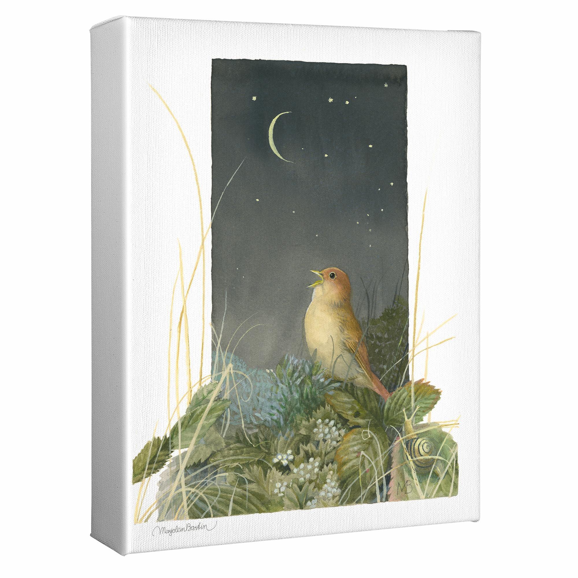 Song of the Nightingale Gallery Wrapped Canvas - Wild Wings