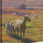 Standoff—Sheep Gallery Wrapped Canvas - Wild Wings
