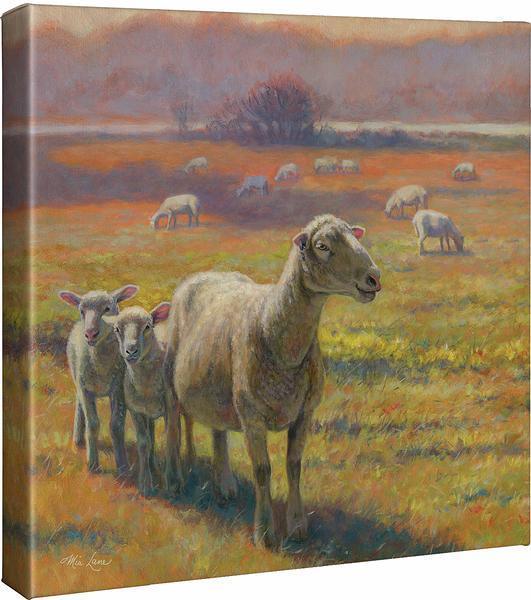 Standoff—Sheep Gallery Wrapped Canvas - Wild Wings