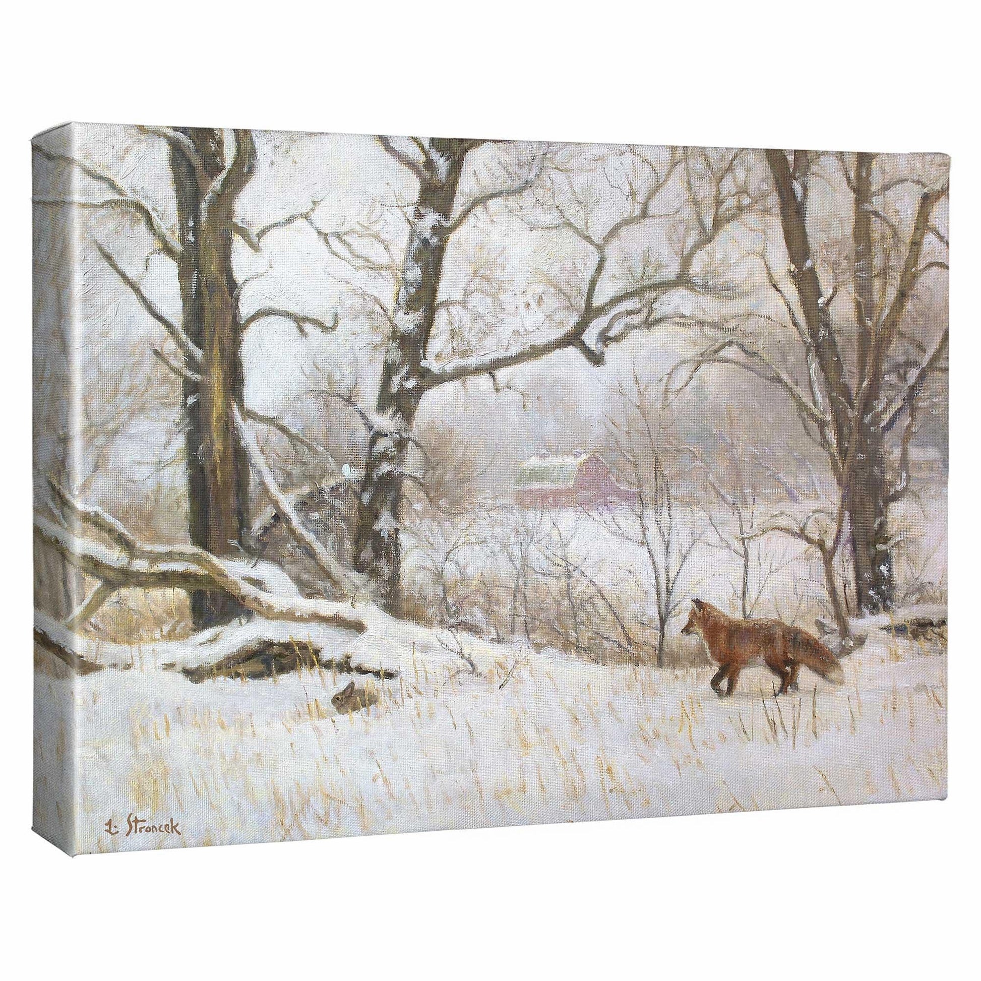 Stealth - Fox Gallery Wrapped Canvas - Wild Wings