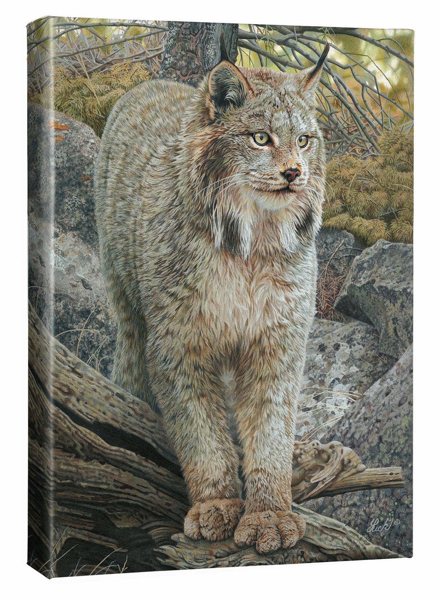 Steppin' Out-Lynx Gallery Wrapped Canvas - Wild Wings
