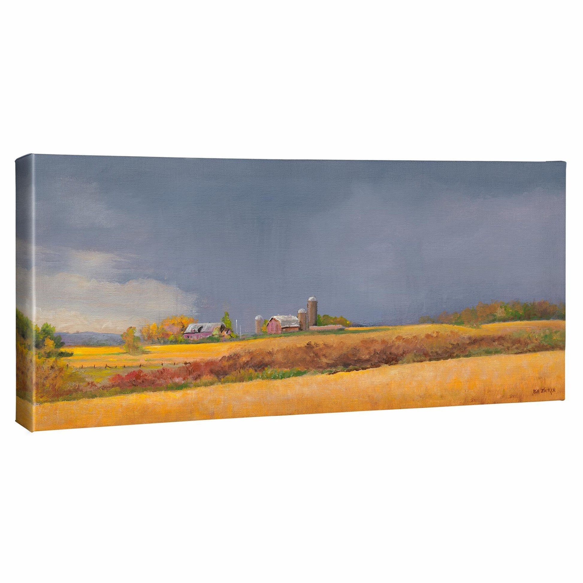Storm A Brewin' II Gallery Wrapped Canvas - Wild Wings