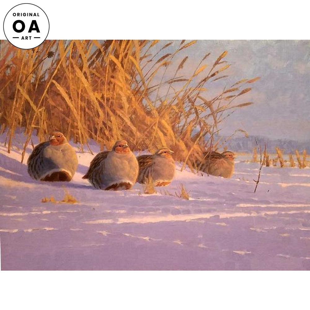 Sunrise—Gray Partridge Original Oil Painting - Wild Wings