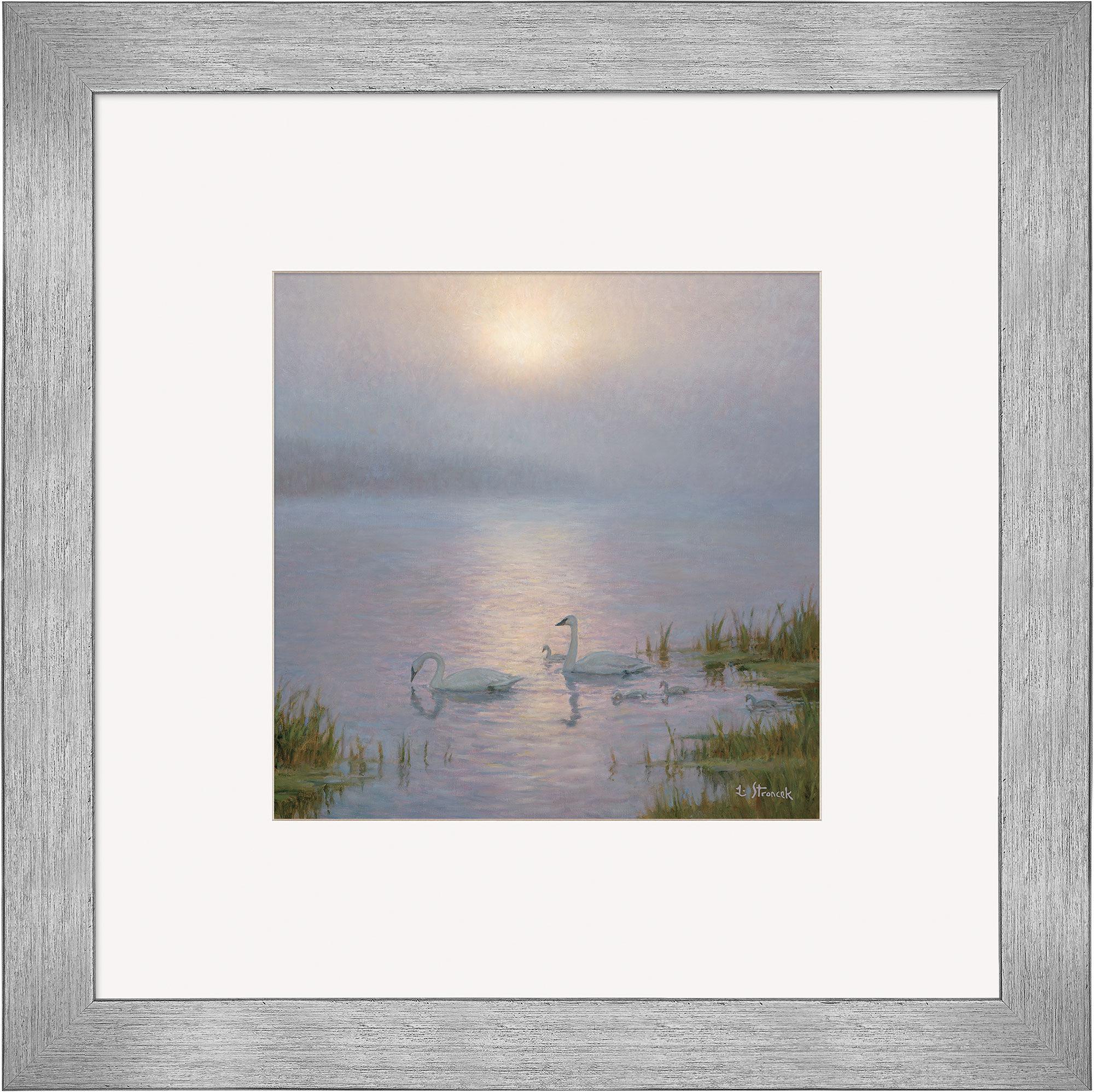 Swan Family and Lifting Fog Contempo Square - Wild Wings