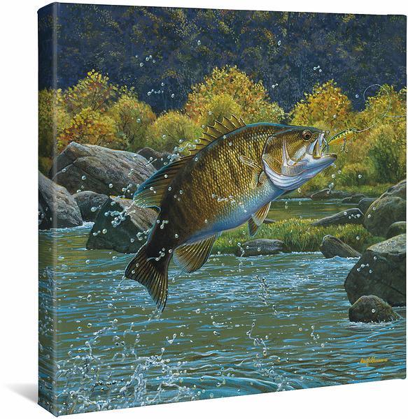 Tail Walking—Smallmouth Bass Gallery Wrapped Canvas - Wild Wings