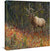 Tapestry—Elk Gallery Wrapped Canvas - Wild Wings