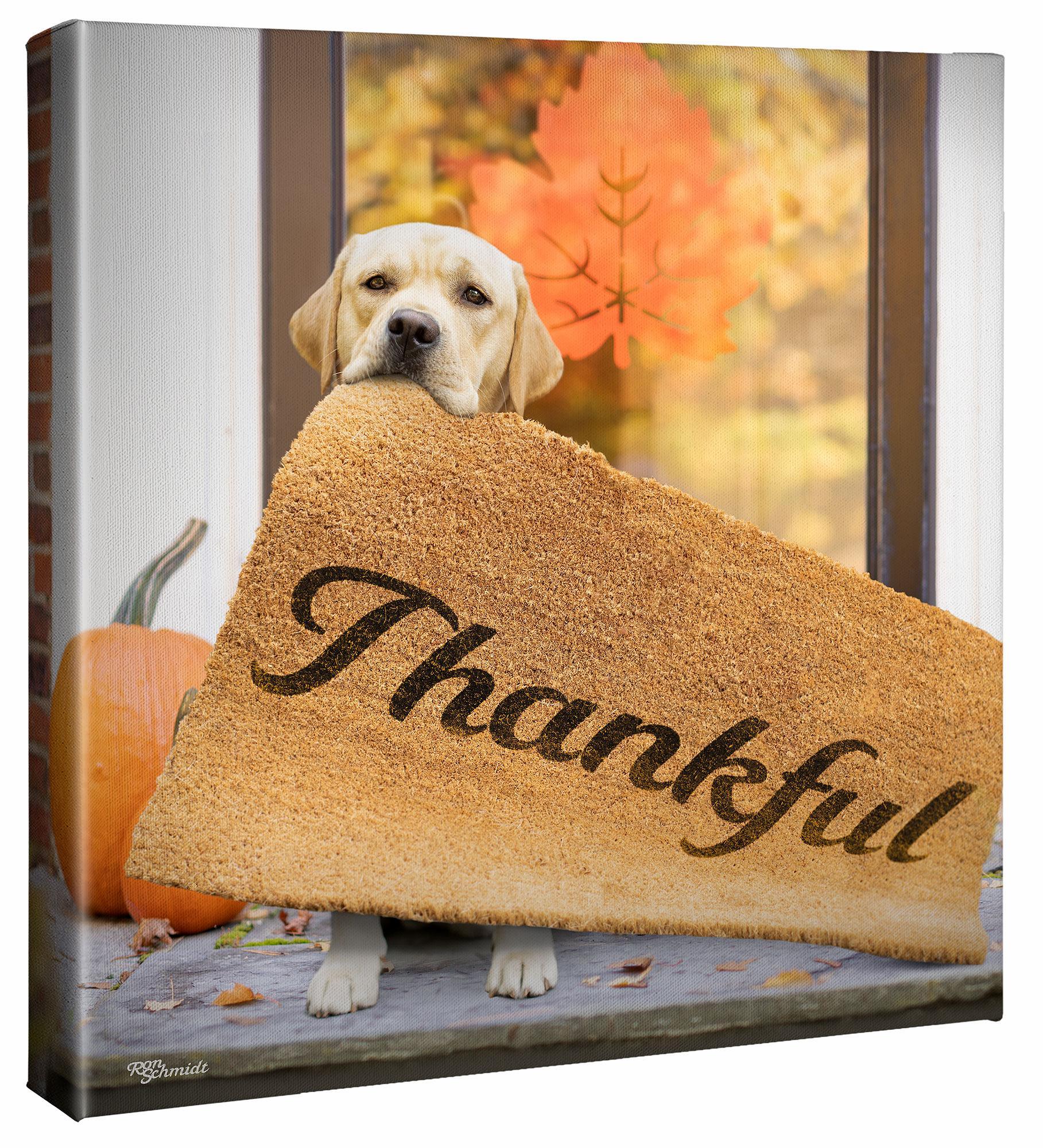 Thankful-Yellow Lab Gallery Wrapped Canvas - Wild Wings