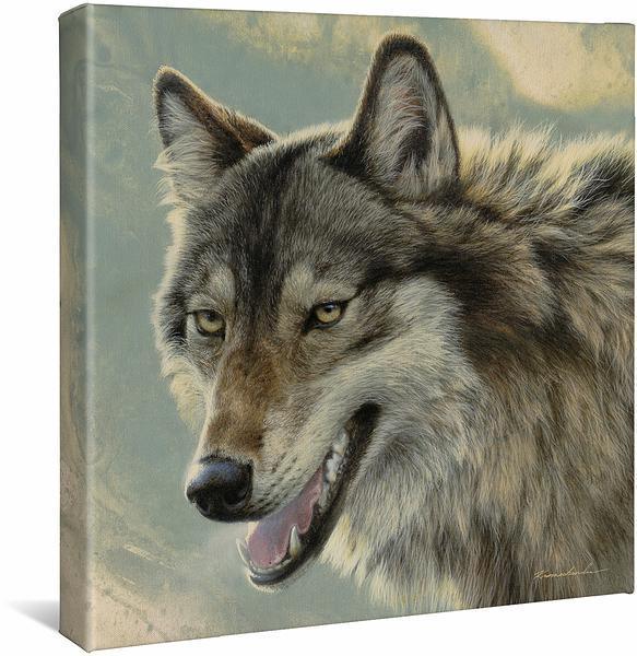 The Alpha Wolf Gallery Wrapped Canvas - Wild Wings