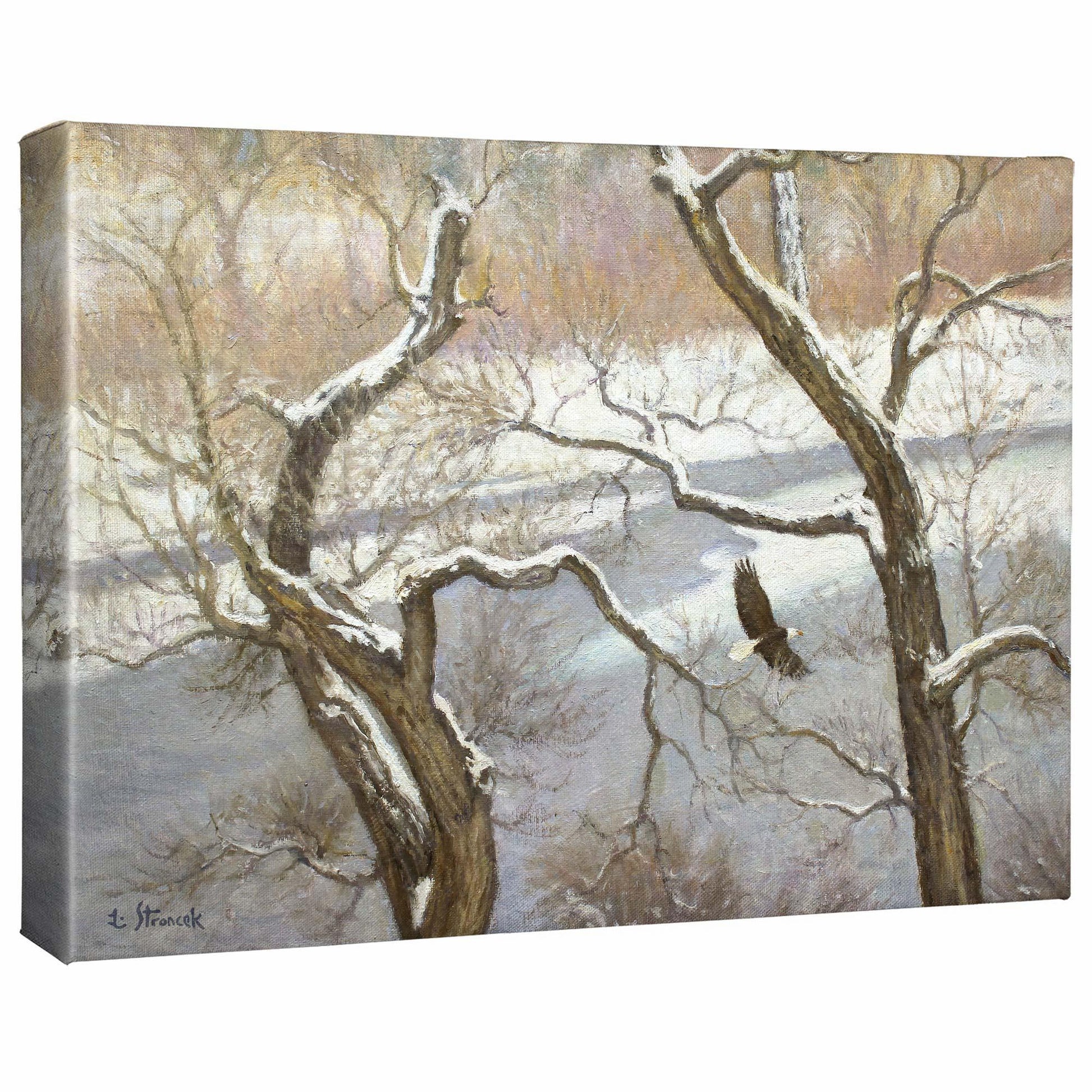 The Vulnerables Gallery Wrapped Canvas - Wild Wings