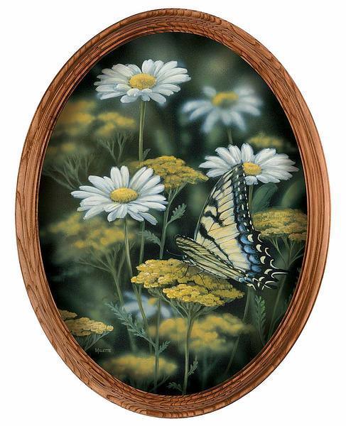 Tiger Swallowtail Framed Canvas Oval - Wild Wings