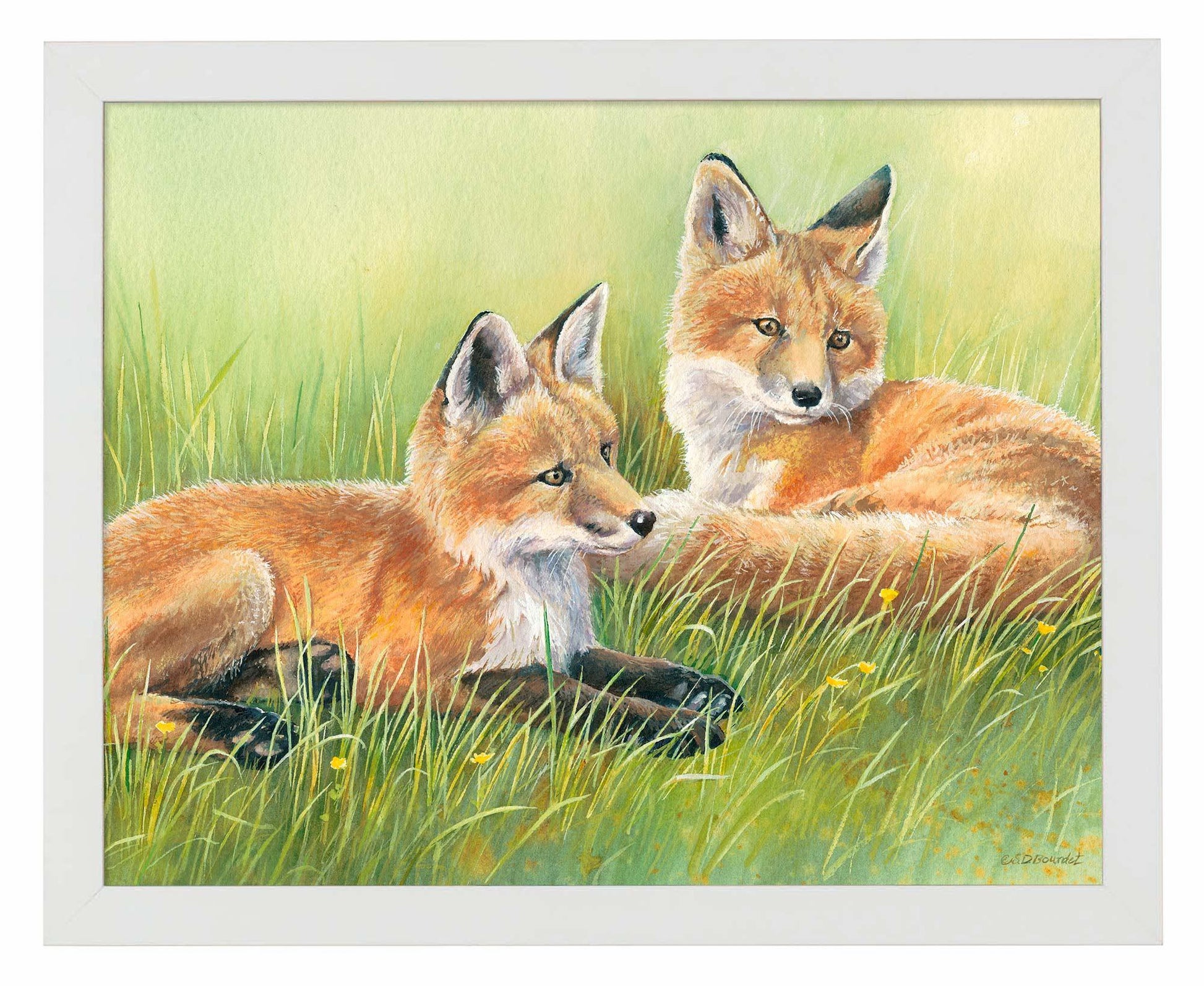 Time Out—Fox Kits Art Print - Wild Wings