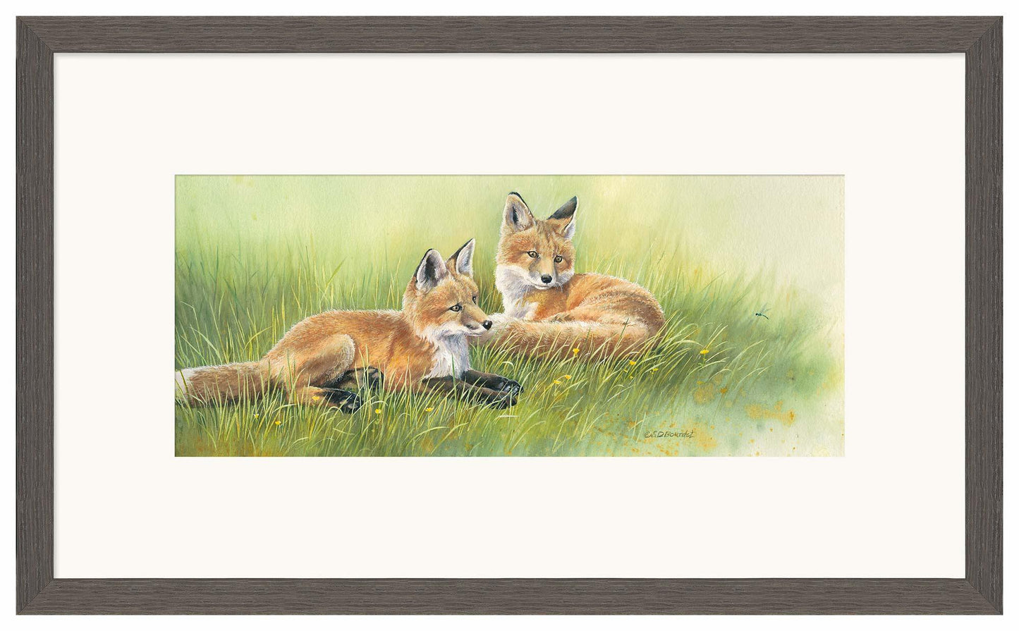 Time Out—Fox Kits Limited Edition Paper Print - Wild Wings