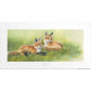 Time Out—Fox Kits Limited Edition Paper Print - Wild Wings