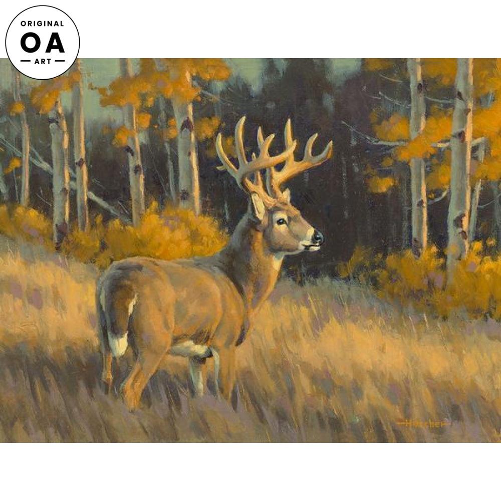 Top of His Game—Whitetail Deer Original Oil Painting - Wild Wings