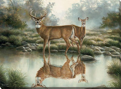 Tranquil Waters—Whitetail Deer Art Collection - Wild Wings