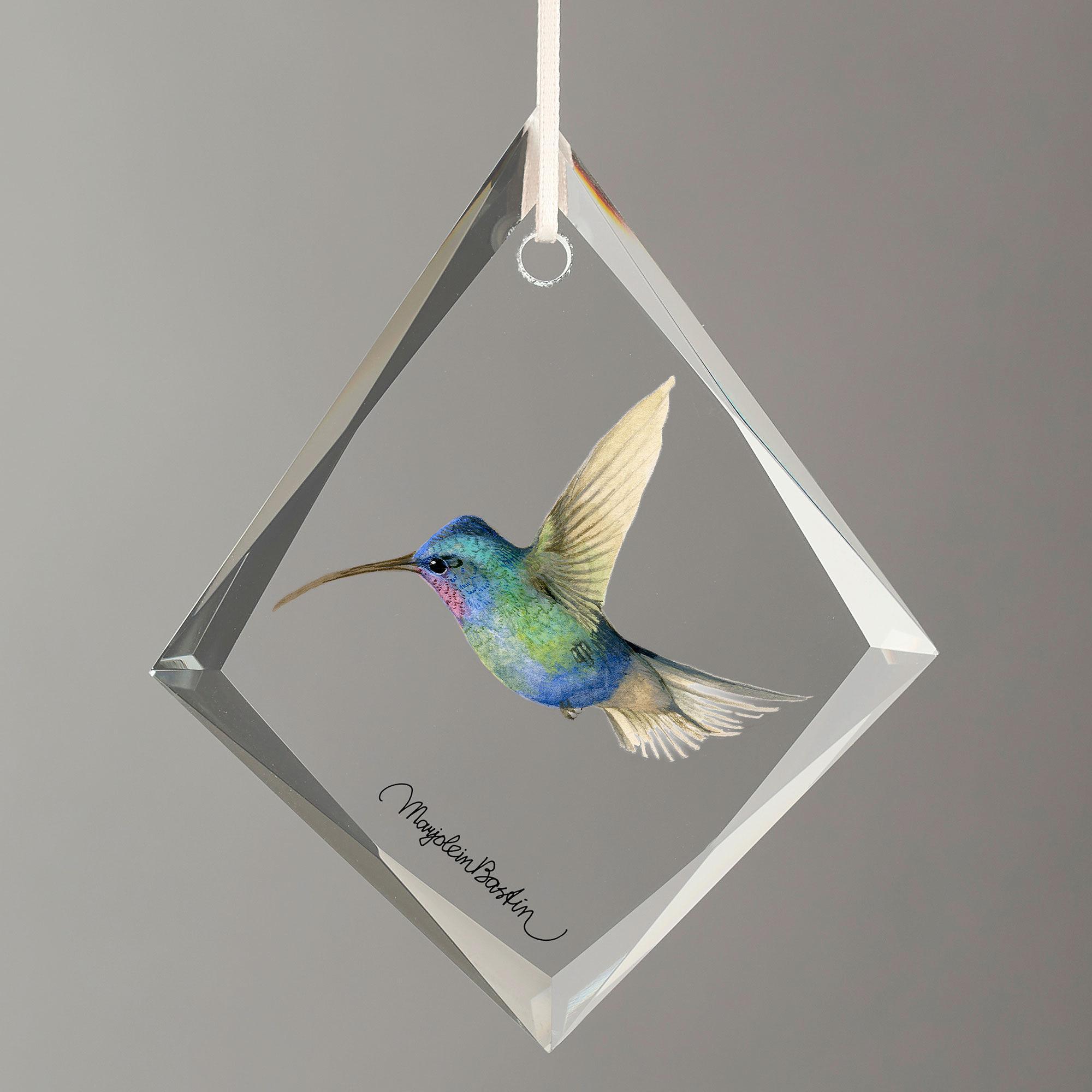 Blue-tuffed Starthroat Hummingbird Tear Drop Glass Ornament from Wild Wings