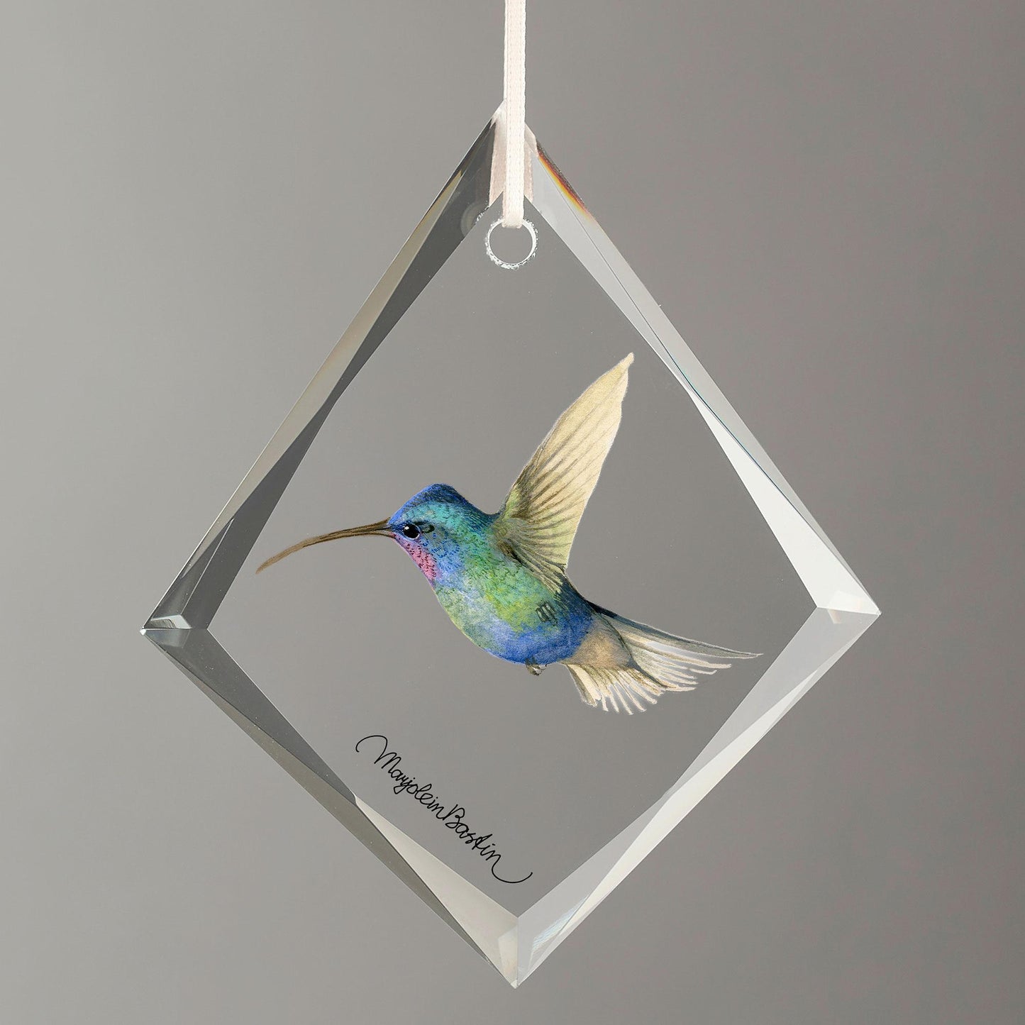 Blue-tuffed Starthroat Hummingbird Tear Drop Glass Ornament - Wild Wings