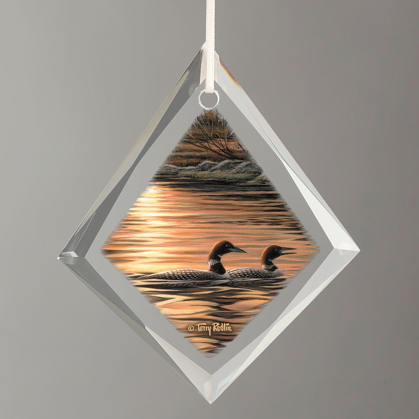Quiet of the Evening - Loons Tear Drop Glass Ornament - Wild Wings