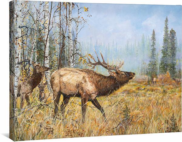 Trouble Brewin'—Elk Gallery Wrapped Canvas - Wild Wings