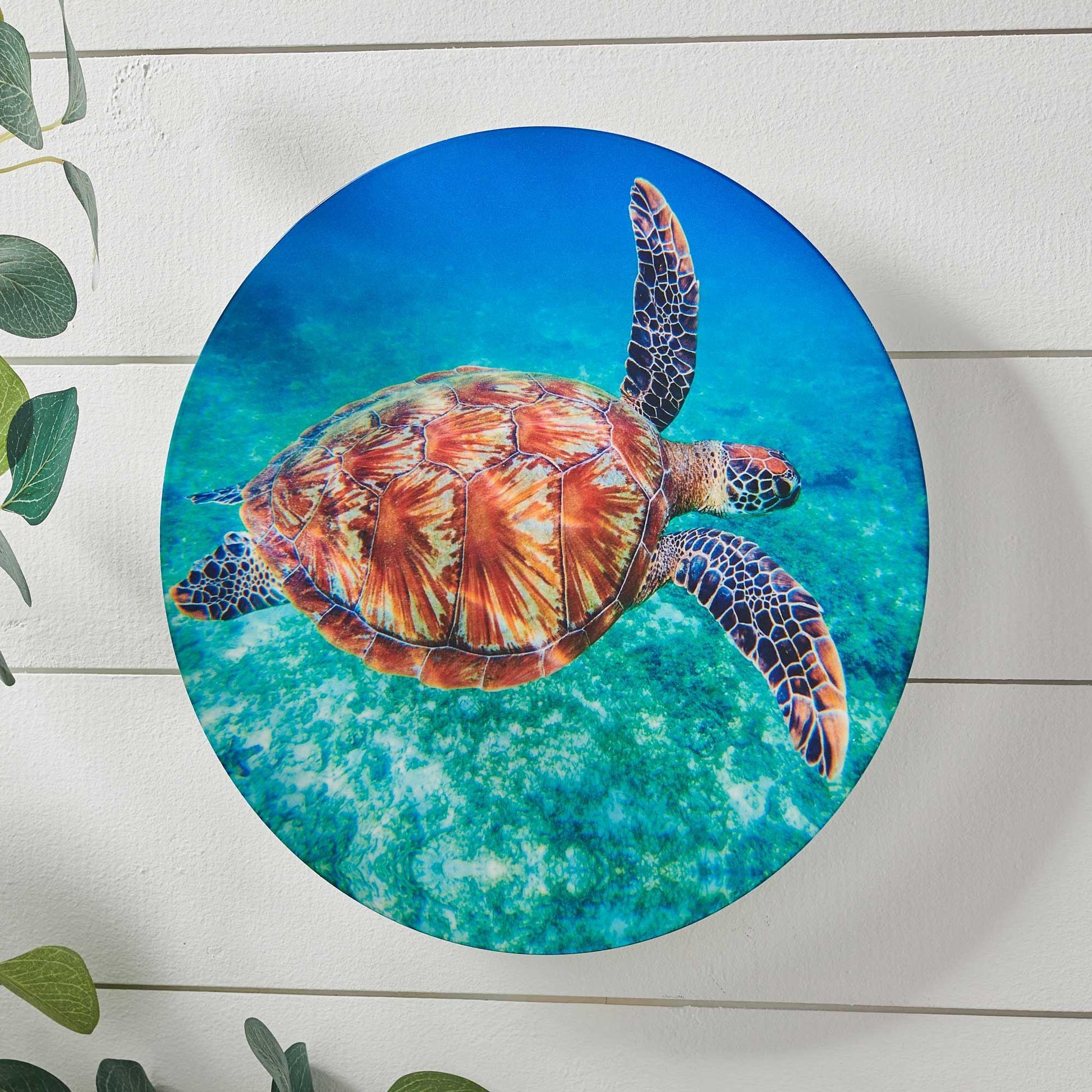 Shimmering Sea Turtle Metal Wall Art - Wild Wings